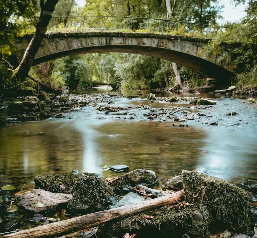 La Regione butta 10 milioni nelle acque putride del Fratta Gorzone 1 photo 1533038063706 9b44e4f5f926 copia