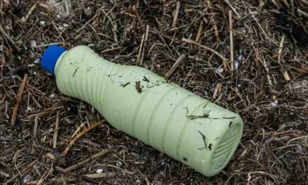 Pfas. I manager Miteni ricorrono in appello