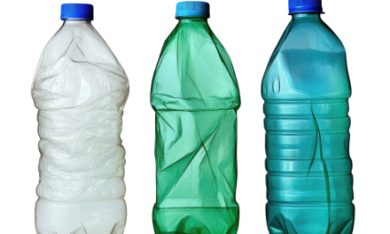 Il mercato della plastica riciclata regalato a Egitto e Cina