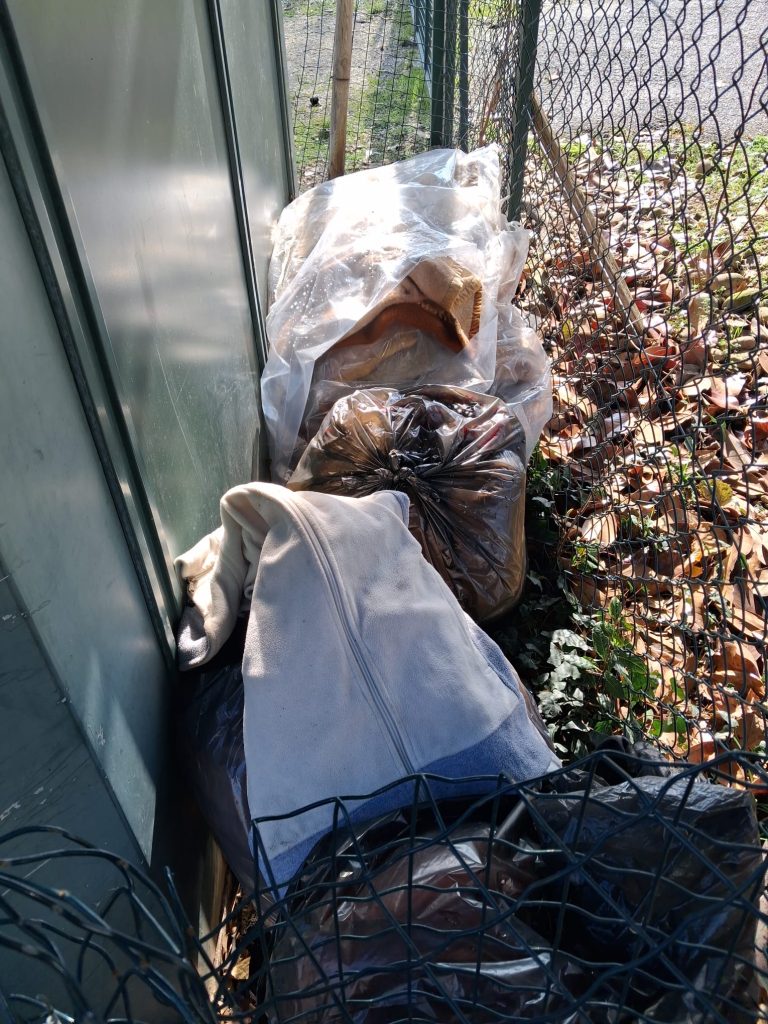 Parco San Giacomo nel degrado: Tosi denuncia l’abbandono a Borgo Roma 1 5c8372bb 864f 4744 ba13 b9de66b06cb5