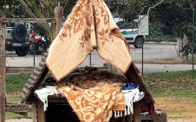 Parco San Giacomo nel degrado: Tosi denuncia l’abbandono a Borgo Roma