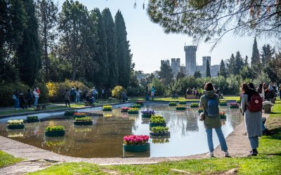 Riapre il Parco Giardino Sigurtà: un viaggio tra fioriture, natura e storia a due passi da Verona