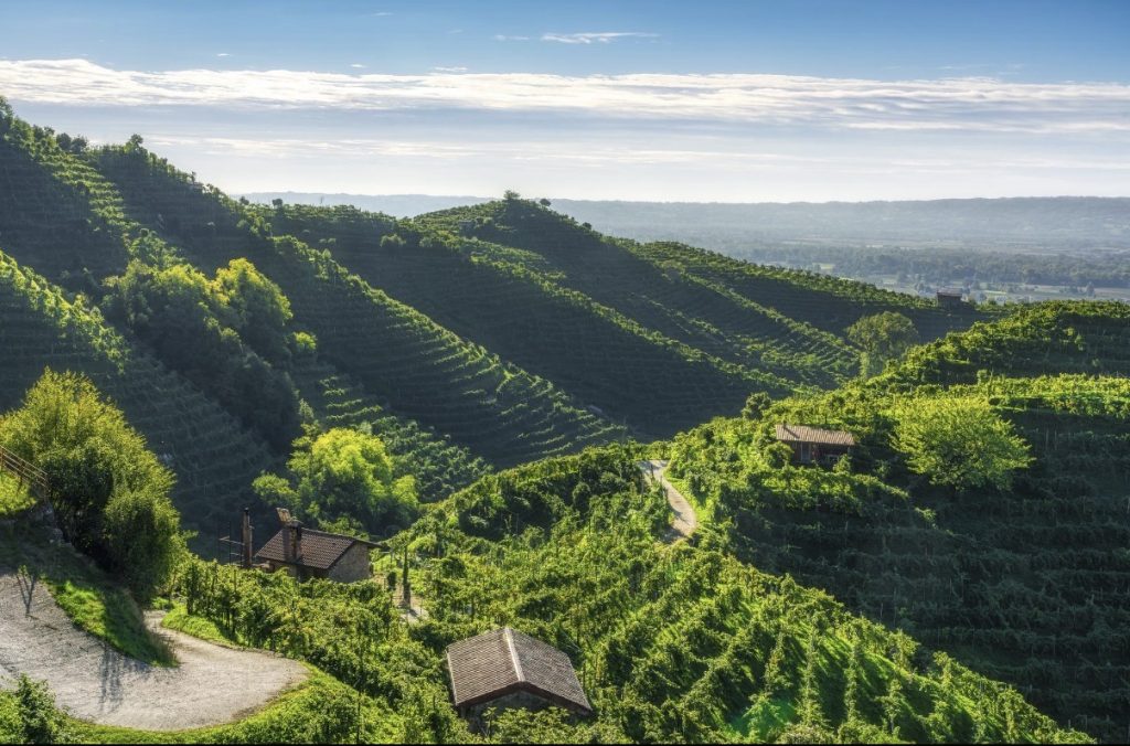 Turismo, il Veneto batte ogni record 4 Turismo, il Veneto batte ogni record