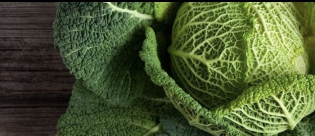 Il ristorante tipico d’inverno,Verona riscopre i sapori della stagione 1 Il ristorante tipico d’inverno, Verona riscopre i sapori della stagione