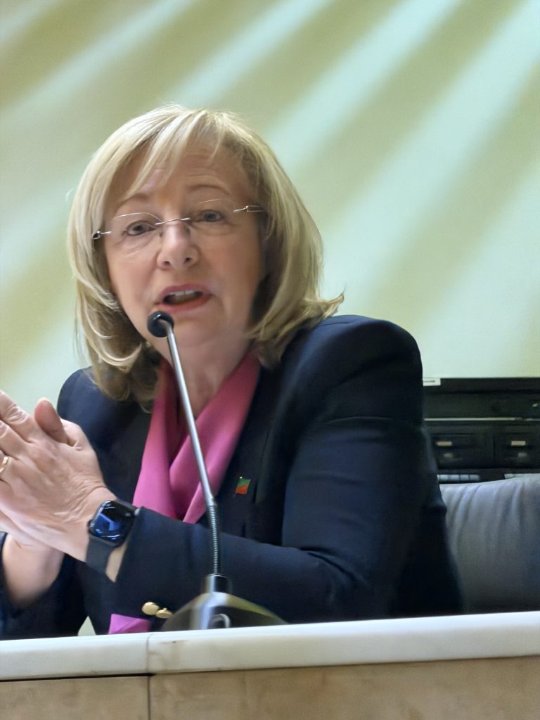 Riforma della giustizia, il centrodestra a Verona spiega le ragioni del Sì 5 IMG 2675