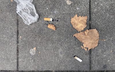 La civiltà inizia da terra