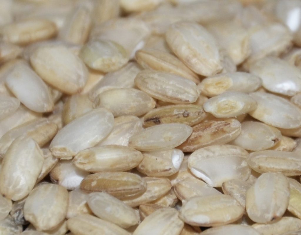 Il riso italiano guarda a Bruxelles 4 Il riso italiano guarda a Bruxelles