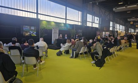 Oliveto Smart a Fieragricola 2026: innovazione e clima al centro delle sfide per l’olivicoltura