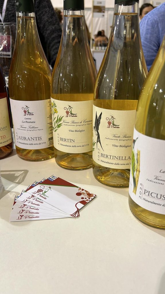 Sommacampagna: il Mercato della Terra Slow Food raddoppia, due domeniche al mese per cibo buono e locale 1 MercatodellaTerra 1