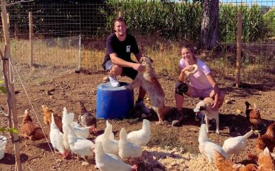 Sommacampagna: il Mercato della Terra Slow Food raddoppia, due domeniche al mese per cibo buono e locale