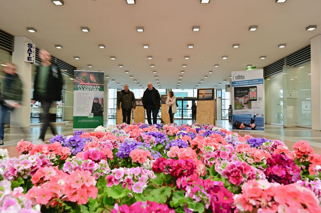 A Veronafiere la passione per il verde si fa in tre: torna “Vita in Campagna La Fiera” 1 VinCa2025 Veronafiere EnneviFoto 2477