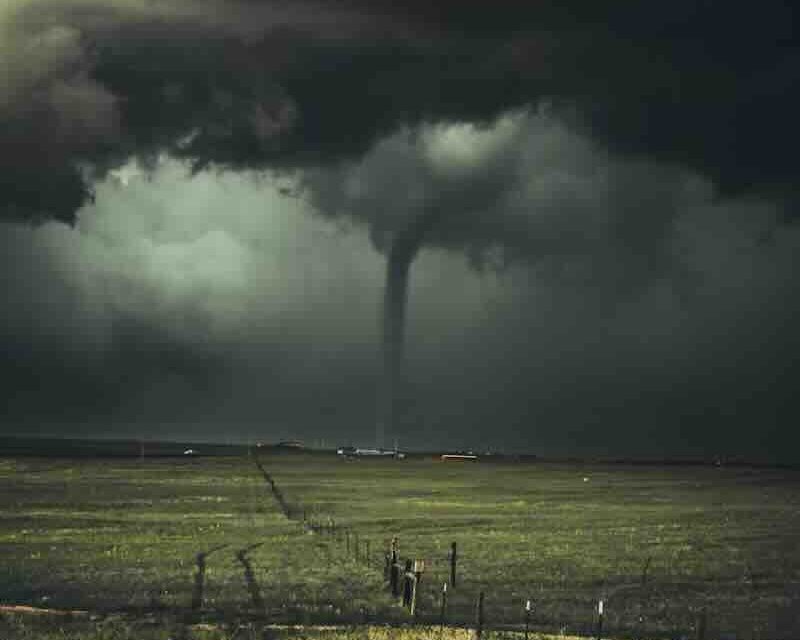 Vaja della pianura dimenticato. Gli agricoltori lasciati soli 2 photo 1527482797697 8795b05a13fe 800x640 1