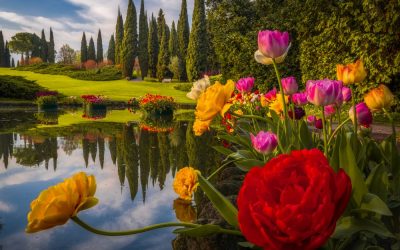 Stelle della Lirica, il 17 agosto torna il grande concerto al Parco Giardino Sigurtà