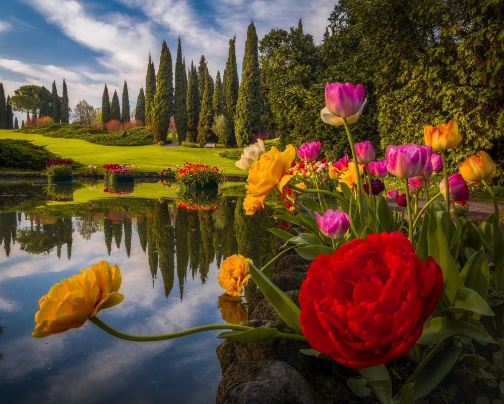 Riapre il Parco Giardino Sigurtà: un viaggio tra fioriture, natura e storia a due passi da Verona 1 sigurta albertdros 1.jpg LIGHT