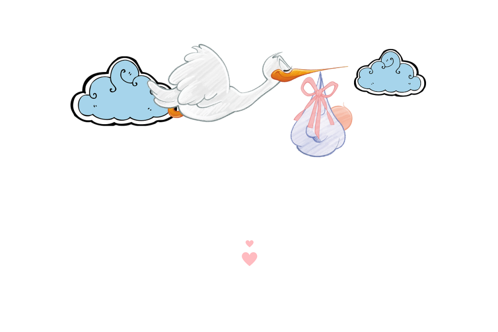 Crisi del liberalismo. L'Italia verso un ritorno degli anni di piombo? 6 stork 7653057 1280