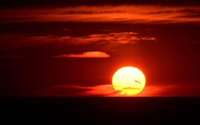 “Estremi bagliori del tramonto”. La raccolta poetica di Sebastiano Saglimbeni