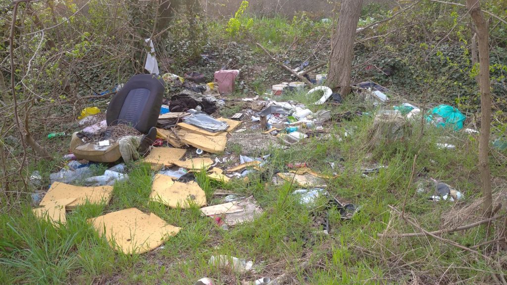 Scempio ambientale a ridosso della Motorizzazione Civile 1 Genovesa. 2
