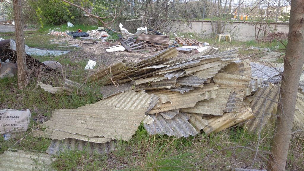 Scempio ambientale a ridosso della Motorizzazione Civile 3 Genovesa. 4