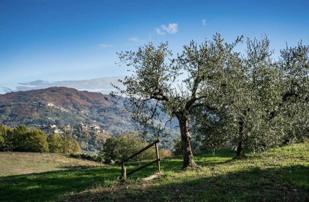 Sol Expo, torna a Veronafiere tra istituzioni e filiera 3 Sol Expo, torna a Veronafiere tra istituzioni e filiera