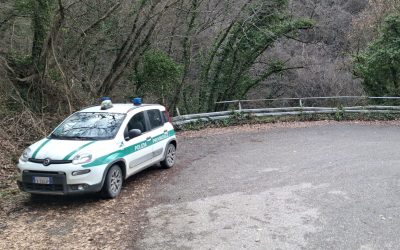 Cane ucciso e gettato in un bosco: denunciate due persone