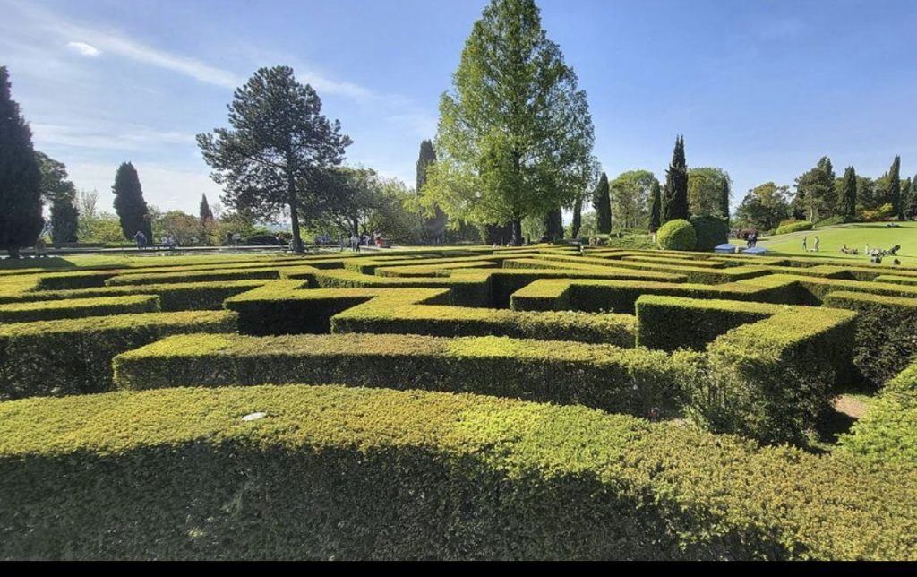 Villa Pullè, il parco affidato agli studenti del Gresner 4 Villa Pullè, il parco affidato agli studenti del Gresner