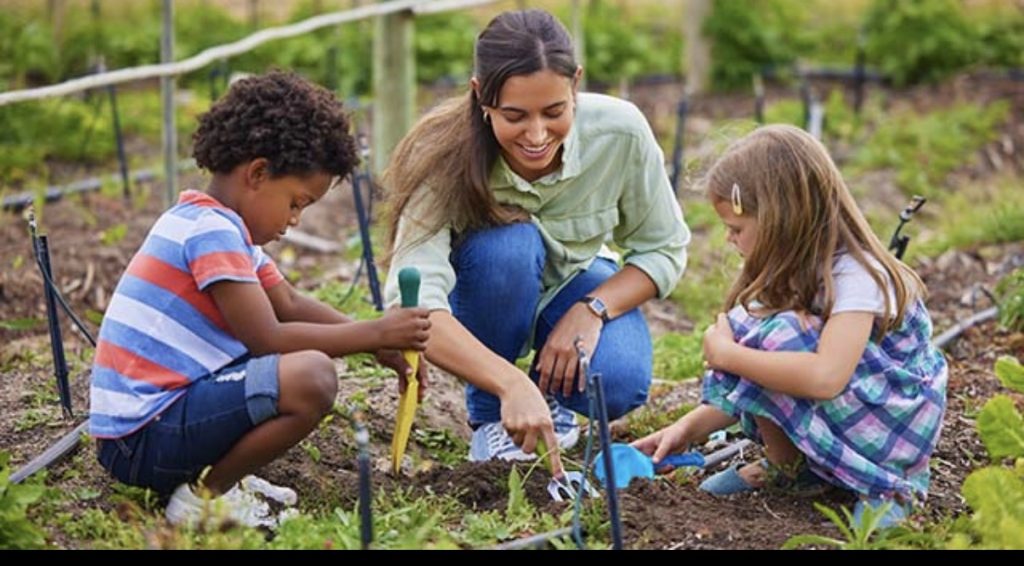 Orti urbani, la Circoscrizione 3 apre alle famiglie 2 Orti urbani, la Circoscrizione 3 apre alle famiglie