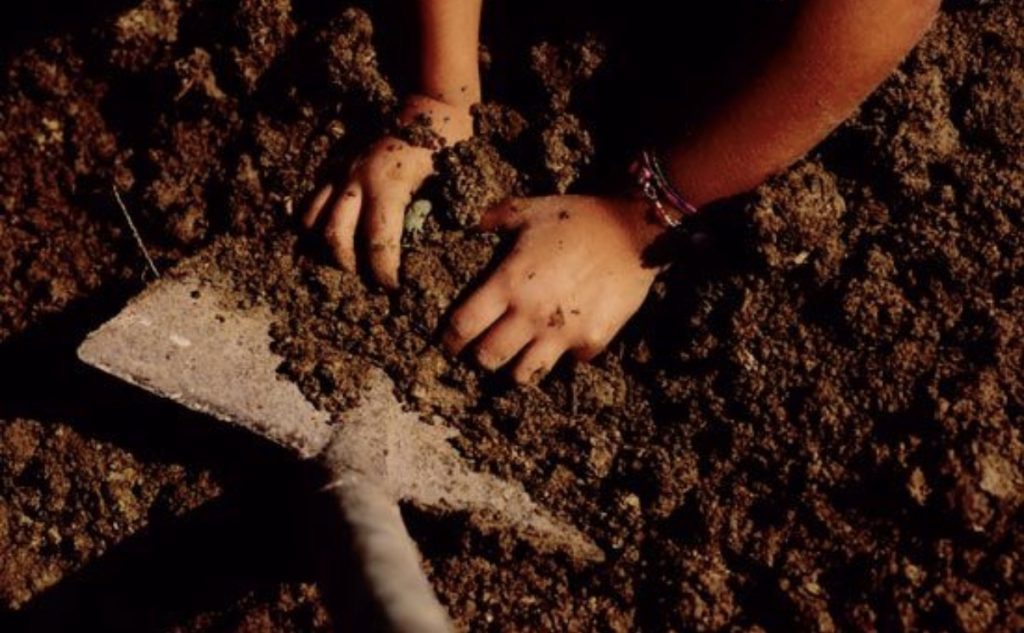 Orti urbani, la Circoscrizione 3 apre alle famiglie 3 Orti urbani, la Circoscrizione 3 apre alle famiglie