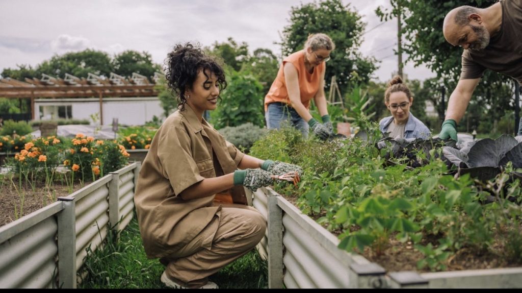 Orti urbani, la Circoscrizione 3 apre alle famiglie 4 Orti urbani, la Circoscrizione 3 apre alle famiglie