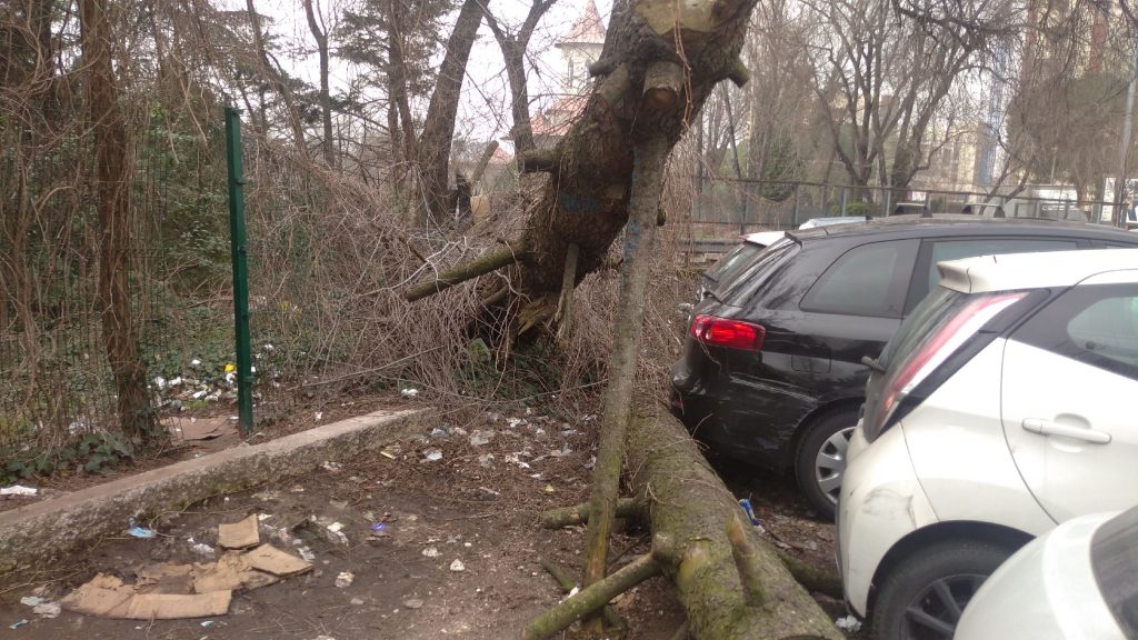 Ennesima nicchia di declino morale e ambientale nell'indifferenza generale 3 Sconcio in via Andrea Palladio. 42