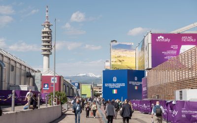 Vinitaly 2026, degustazioni e turismo del vino: a Veronafiere quattro giorni tra calici, territori e nuove opportunità