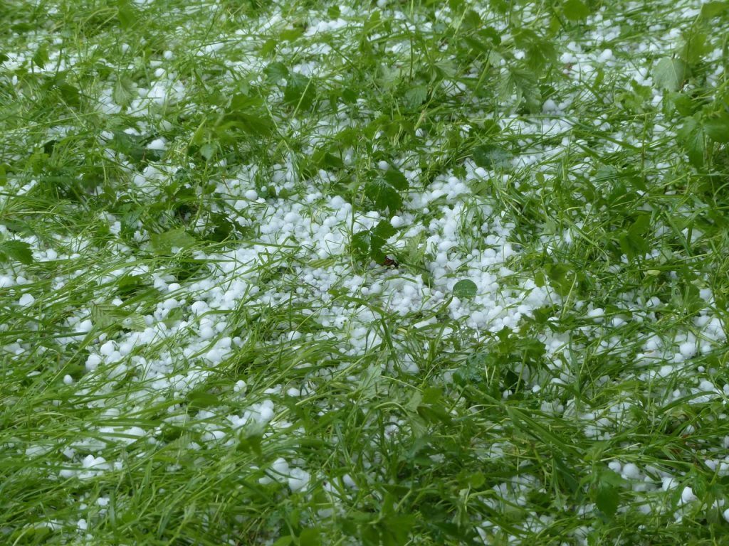 Assicurazioni agricole. Nel 2025 danni oltre i 29 milioni 1 hailstones 123044 1280
