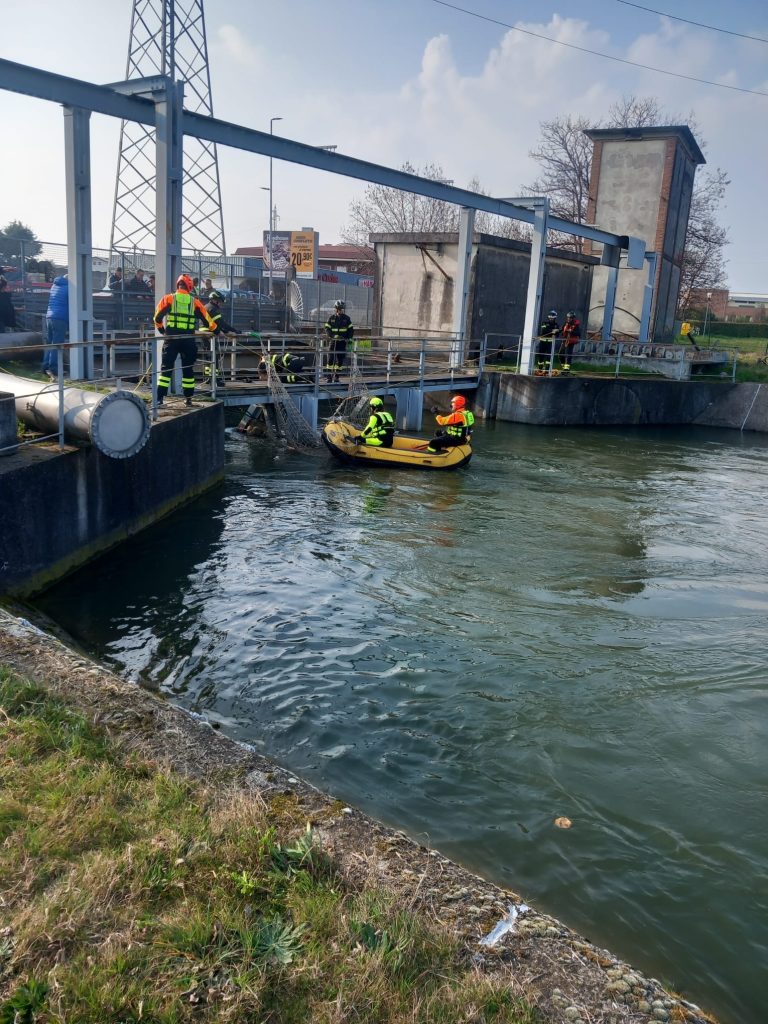 Liberato il lupo incastrato sotto un ponte a S.Giovanni Lupatoto 2 intervento salvataggio 1