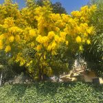 8 Marzo. “Non fan tutte così”          