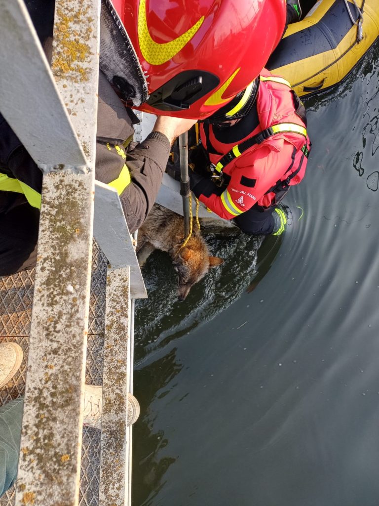 operazione di salvataggio