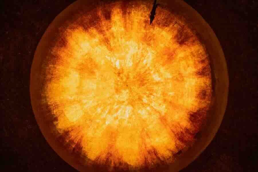 Lezioni di guerra 3 photo 1693203498992 68efb8adccc6