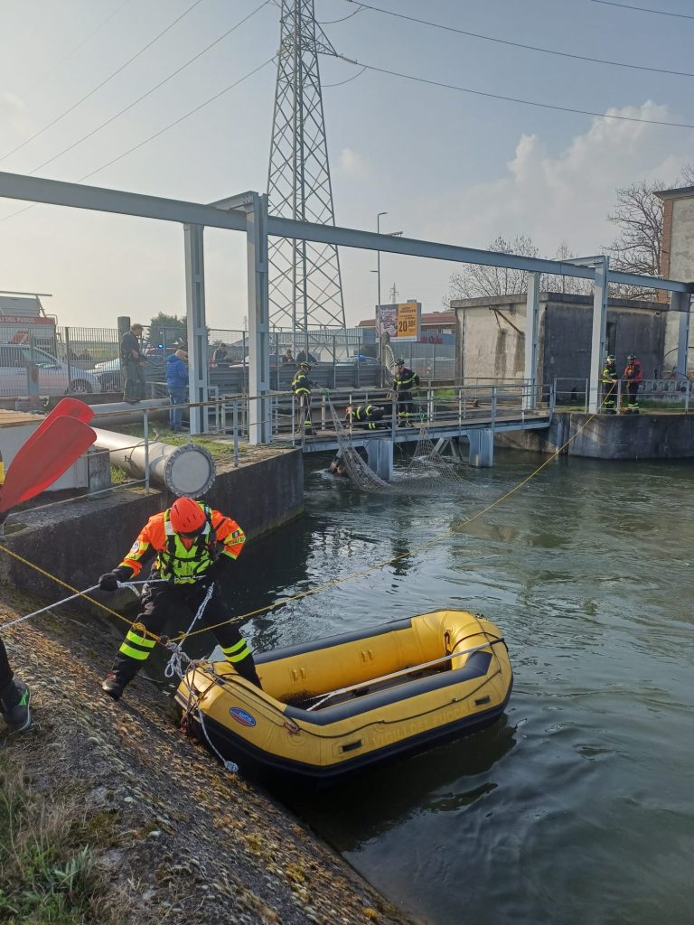 Liberato il lupo incastrato sotto un ponte a S.Giovanni Lupatoto 3 salvataggio lupo