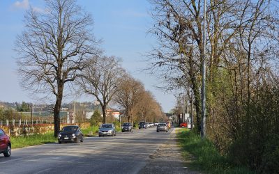 TIGLI DI VIA PREARE, LA PAROLA AI CITTADINI ATTIVI
