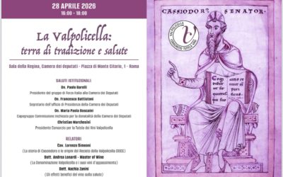 Il vino italiano ha bisogno di chi lo racconta