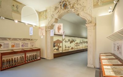 Botanica, il museo riapre una sala che mancava da decenni