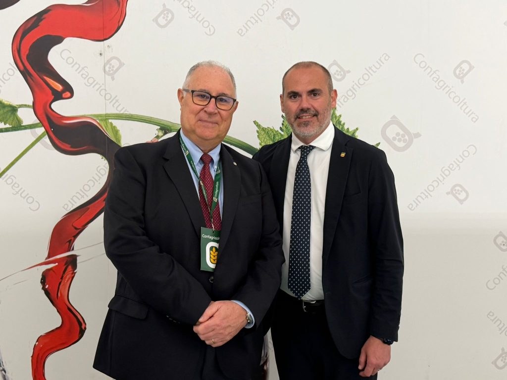 Dalle potature all’energia, il vigneto prova a chiudere il cerchio 2 Dalle potature all’energia, il vigneto prova a chiudere il cerchio