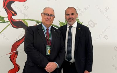 Dalle potature all’energia, il vigneto prova a chiudere il cerchio