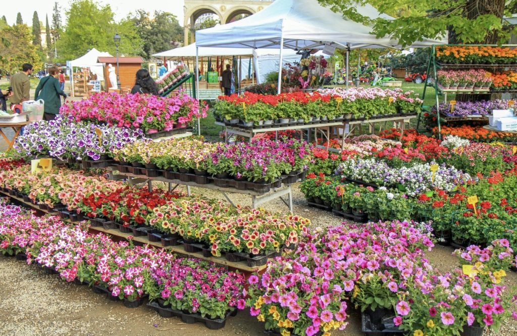 Flower Show, il Giardino Giusti torna a fiorire 2 Flower Show, il Giardino Giusti torna a fiorire