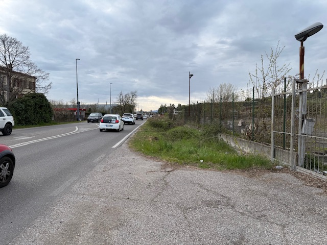 Rendere pubbliche le perizie dei 62 tigli di via Preare 2 IMG 8046