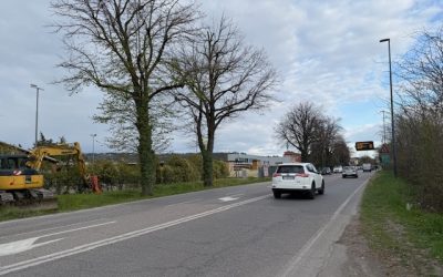 Tigli di via Preare. E’ polemica