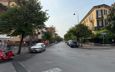 Gli alberi di viale Nino Bixio non verranno tagliati