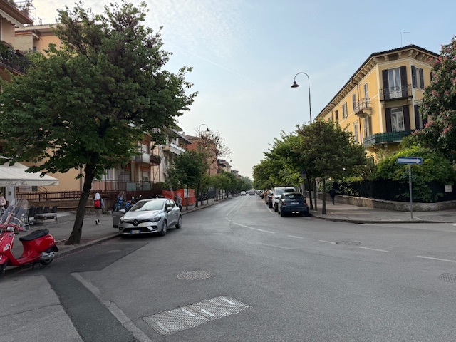 Gli alberi di viale Nino Bixio non verranno tagliati