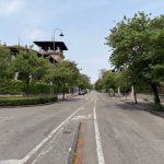 Vogliono tagliare gli alberi anche in viale Nino Bixio?