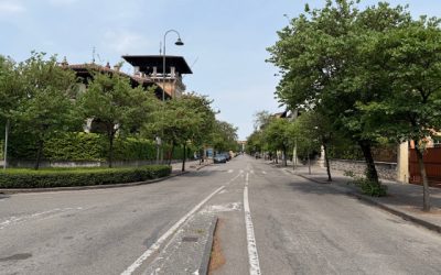Vogliono tagliare gli alberi anche in viale Nino Bixio?