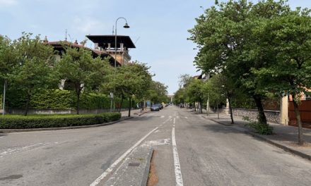 Vogliono tagliare gli alberi anche in viale Nino Bixio?