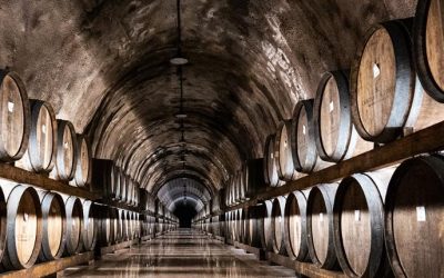 Stefani brinderà con il ‘Durello’ all’apertura del Vinitaly